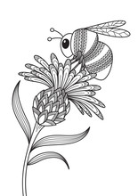 Antistress Doodle Coloring Book Page For Adult. Bumblebee On The Flower. Zentangle Insect Black And White Illustration.