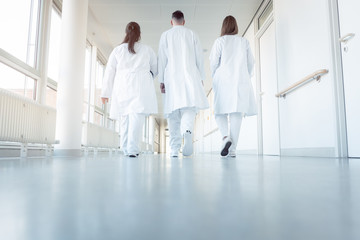 Canvas Print - Three doctors walking down a corridor in hospital