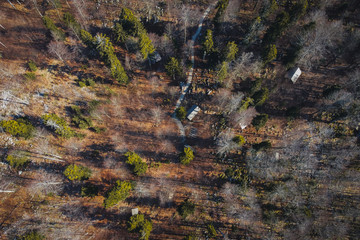 Aerial view of army barracks or cottages hiding in the depths of forest at Kocevje or Kocevski rog. Partisan hideout in Slovenia called Baza 20 on a sunny winter day. Visible two of cabins.