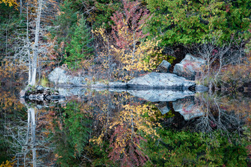 Wall Mural - Shoreline reflections along the Michigamme River, Upper Peninsula, Michigan.