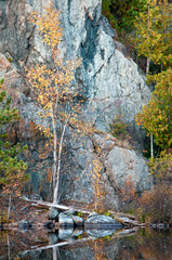 Wall Mural - Shoreline reflections along the Michigamme River, Upper Peninsula, Michigan.
