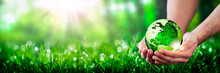 Hands Holding Crystal Earth In Lush Green Environment With Sunlight - Caring For The Environment Concept