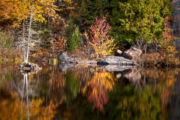 Wall Mural - Autumn colors illuminated by the light of a setting sun are reflected in the calm surface of the Michigamme River near Crystal Falls in Michigan's Upper Peninsula.