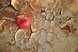 An apple on a dry cracked desert soil. Water shortage, food insecurity, crisis, hunger and agriculture concept.