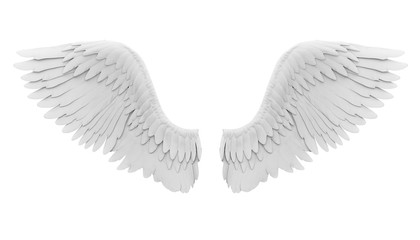 White Angel Wings Isolated