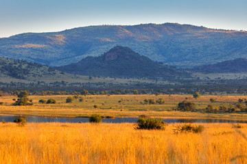 Wall Mural - Landscape in Pilanesberg NP, South Africa. Golden grass meadow with water lake a mountain in the background. Travelling in Africa. Summer day in wild nature.