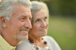 © aletia2011 - Beautiful caucasian senior couple in the park