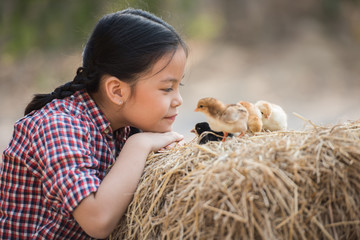 happy little girl with of small chickens sitting outdoor. portrait of an adorable little girl, preschool or school age, happy child holding a fluffy baby chicks with both hands and smiling..