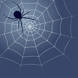 Fototapeta Do przedpokoju - Background with spider silhouette and web.
