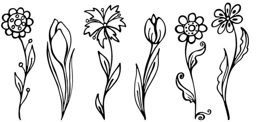 Set of black and white decorative snowdrops. Linear pattern made of decorative flowers and plants nature of wild field and meadow for your design. Vector sketch illustration isolated on white backgrou