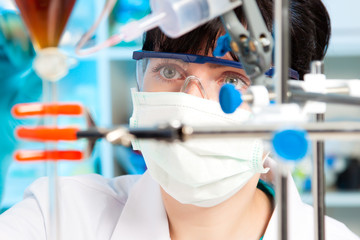Wall Mural - scientist holds and examine samples in a laboratory