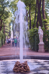 fountains in the alley in the city summer garden in St. Petersburg, Russia