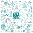 Sea Creatures Doodles Colored