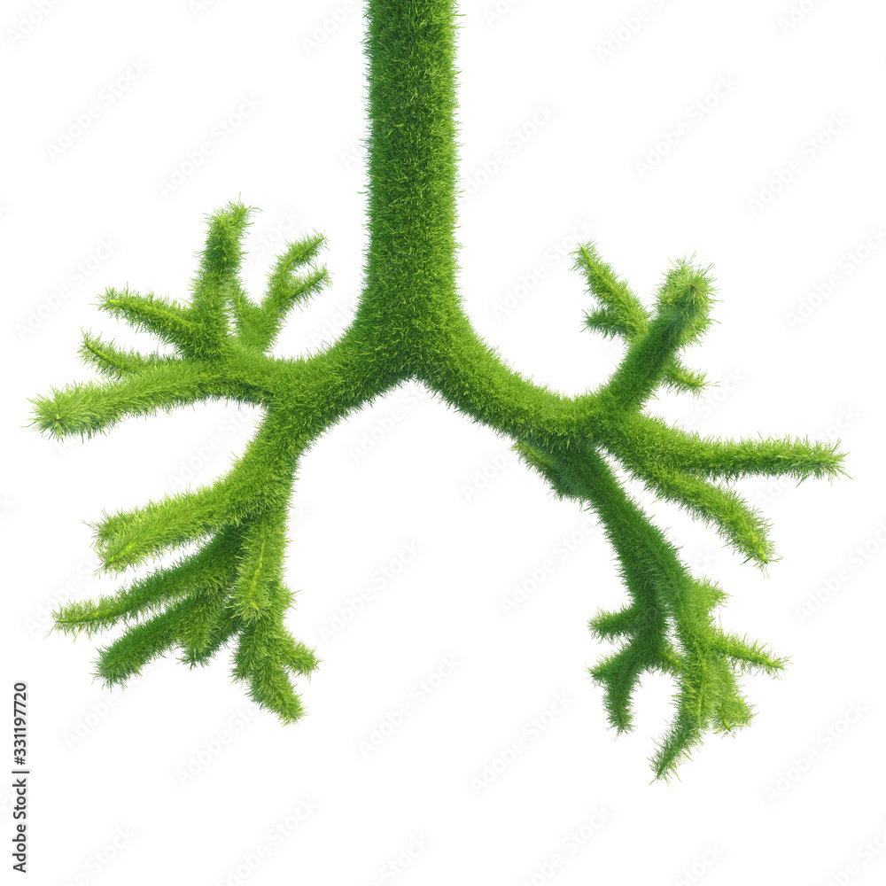 Human bronchi in the form of green fresh grass. An integral part of the ...