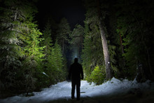 Figure On Forest Path At Night With Headlamp Illuminating The Trees And Path