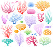 Seaweeds and corals on white. Colored aquarium plants vector illustration, color underwater sea weeds and ocean coral icons