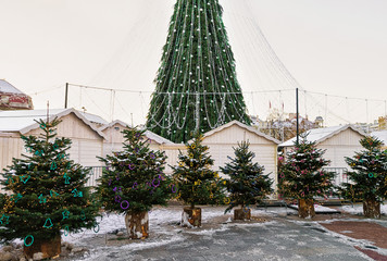 Wall Mural - Christmas trees market with main Xmas tree in Vilnius Lithuania