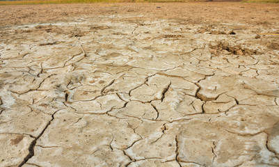 Wall Mural - Salty soil