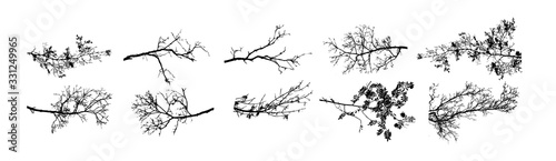 A set of tree sprigs. Vector illustration Tableau sur Toile