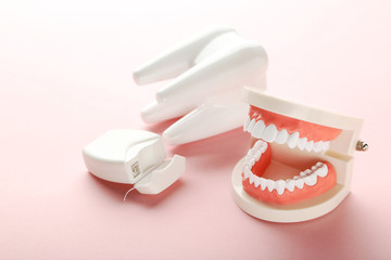 Wall Mural - Teeth models with dental thread on pink background