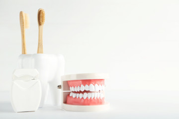 Wall Mural - Teeth model with toothbrushes and dental thread on grey background