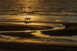 two horses galloping on the st. idesbald beach at sunset in belgium