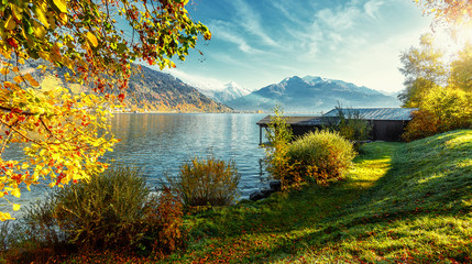 Fototapete - Landscape with Alps and Zeller See in Zell am See, Salzburger Land, Austria. Beautiful Sunny day in Alps. wonderlust view of highland lake With autumn trees under sunlight and perfect sky.