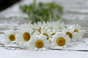 Daisy flowers on wood table.