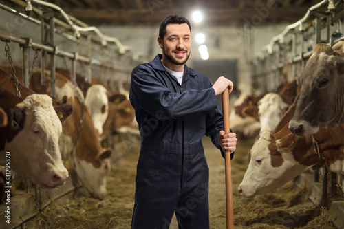 Fotomural Male farmer on a dairy farm with herd of cows
