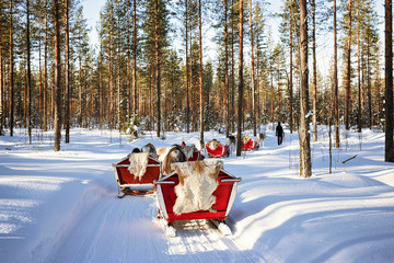 Poster - People at Reindeer sleigh caravan safari in forest Finnish Lapland