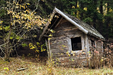 Old Wooden Ramshackle Hut With Wood Shingle Roof, Autumn Forest