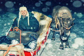 Poster - Man on reindeer sledge at night safari in Lapland Finland