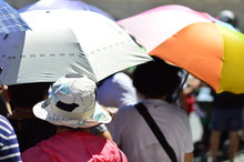 Asian Tourists With Umbrellas