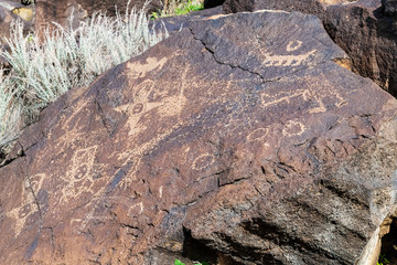 Wall Mural - Petroglyphs Petroglyphs National Monument 