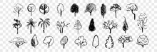 Hand Drawn Trees Doodle Set Collection