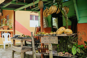 tropical fruit market