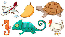 Large Set Of Different Animals And Other Objects On White Background
