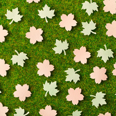 Paper cherry flowers and maple leaves on an artificial grass, spring pink and green flower background