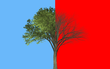 Different Condition of the same tree showing concept that The coin has two sides