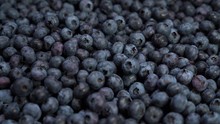 Fresh Blueberries, Fruit Background Delicious Tasty Barry Lay On The Ground.