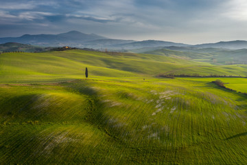 Wall Mural - Sunny spring landscapes from a flying drone.