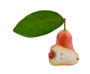 Wall Mural - Rose apple on white background