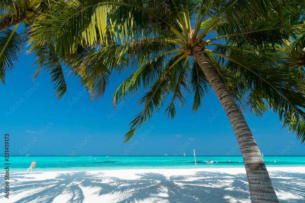 Sandy beach of tropical island in the Maldives - obrazy, fototapety, plakaty 