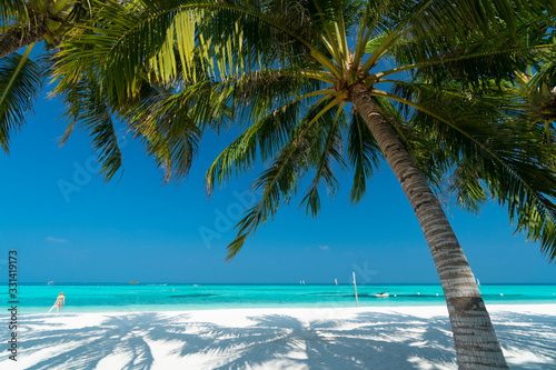 Cuadros en Lienzo Sandy beach of tropical island in the Maldives