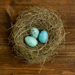 Easter nest with blue eggs on the wooden board