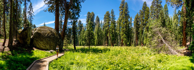 young woman on big trees trail trail in sequoia national park fo