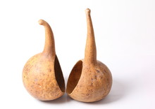 Dried Calabash Fruits, Bottle Gourd