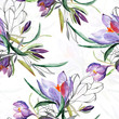 canvas print picture - Crocus seamless pattern.Image on a white and color background.
