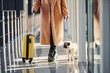 © standret - Young female passenger in warm clothes with tickets, her dog and baggage in airport hall