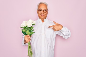 Canvas Print - Middle age senior grey-haired man holding romantic bouquet of white roses over pink background with surprise face pointing finger to himself